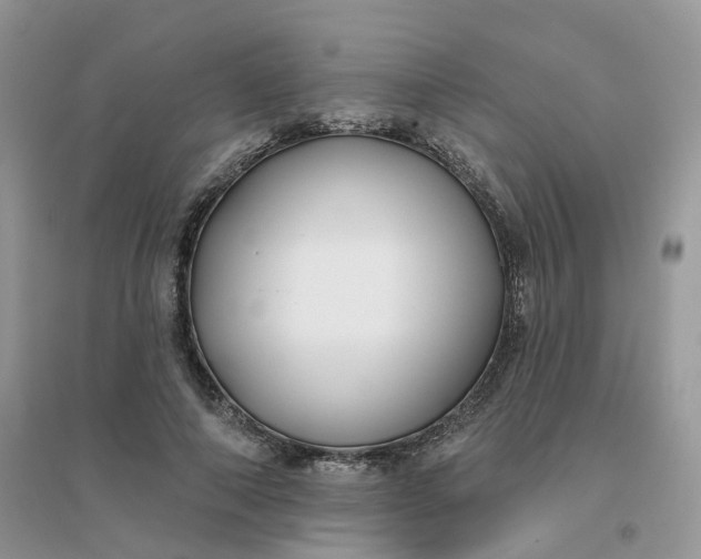 X0000096150690200802011233