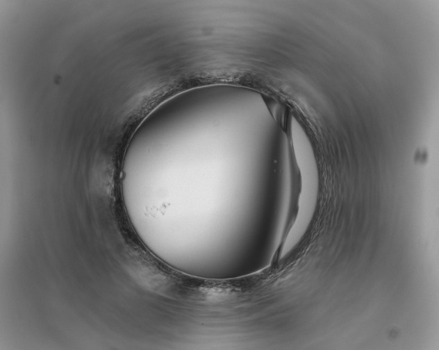 X0000096150693200802011233