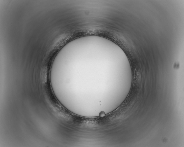 X0000096150694200802011233