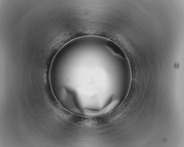 X0000096150696200802011233