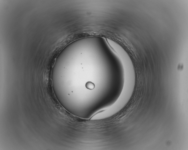 X0000096150697200802011233