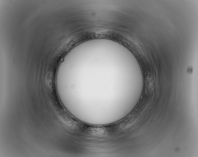 X0000096150698200802011233