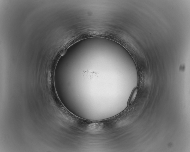 X0000096150700200802011233