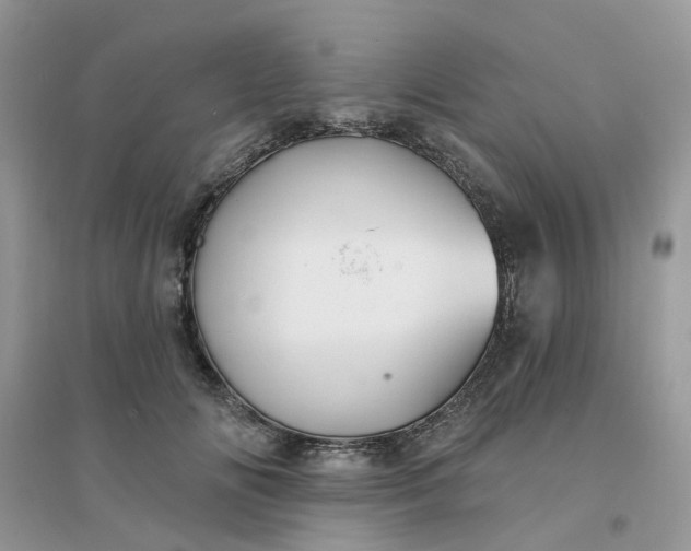 X0000096150702200802011233