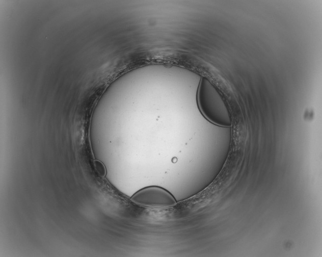 X0000096150703200802011233