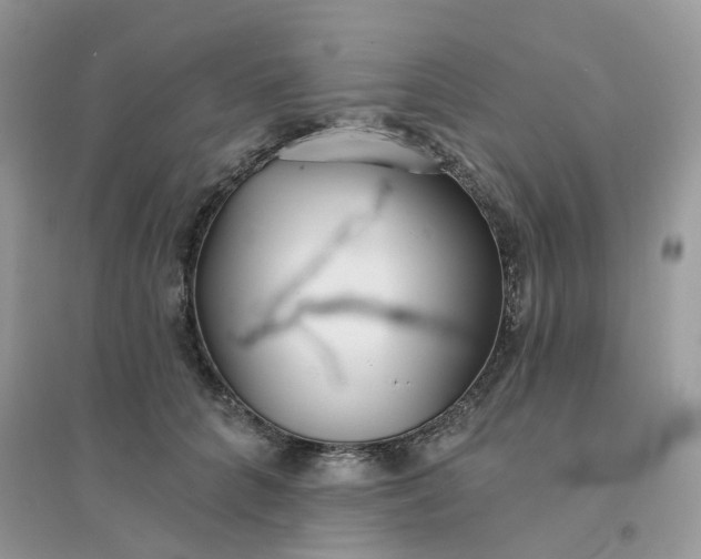 X0000096150704200802011233