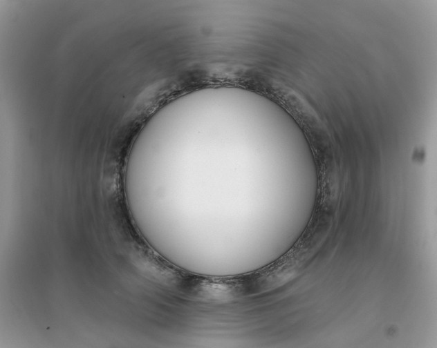 X0000096150706200802011233