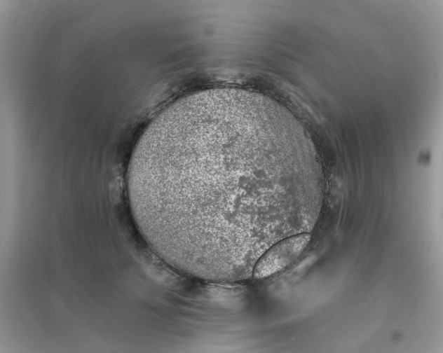 X0000096150707200802011233