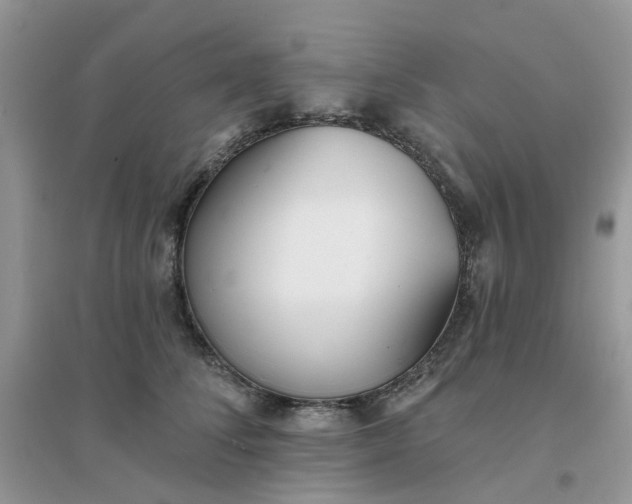 X0000096150708200802011233
