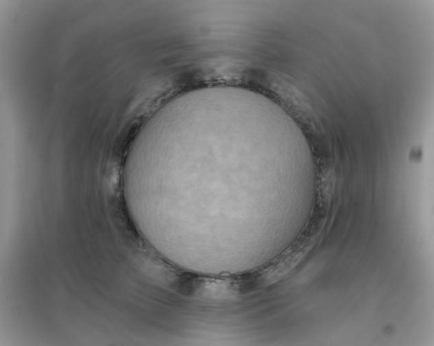 X0000096150709200802011233