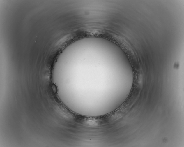 X0000096150710200802011233