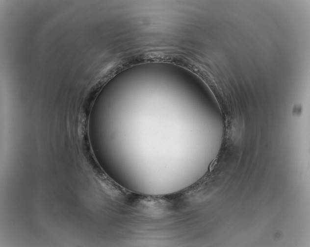 X0000096150712200802011233
