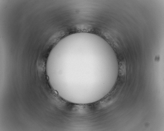 X0000096150713200802011233