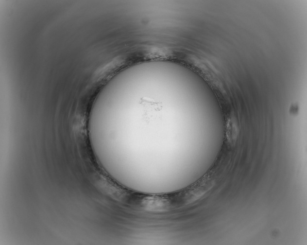 X0000096150714200802011233