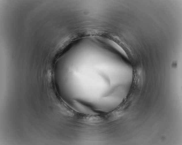 X0000096150716200802011233