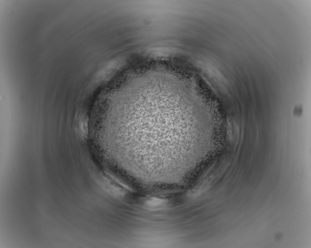 X0000096150718200802011232