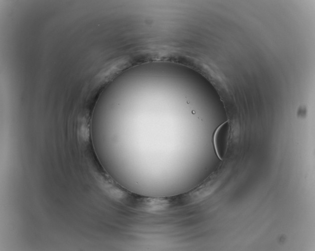 X0000096150719200802011232