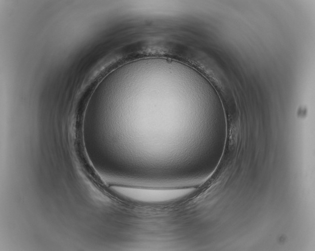 X0000096150722200802011232