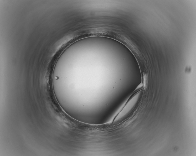 X0000096150723200802011232