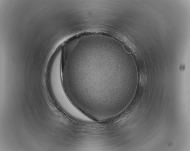X0000096150724200802011232