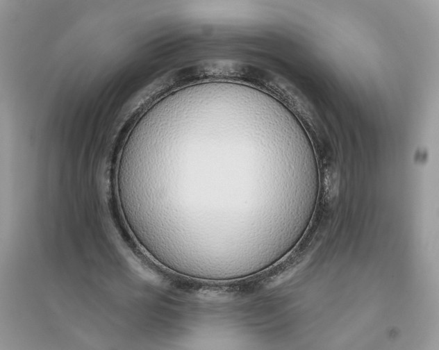 X0000096150725200802011232