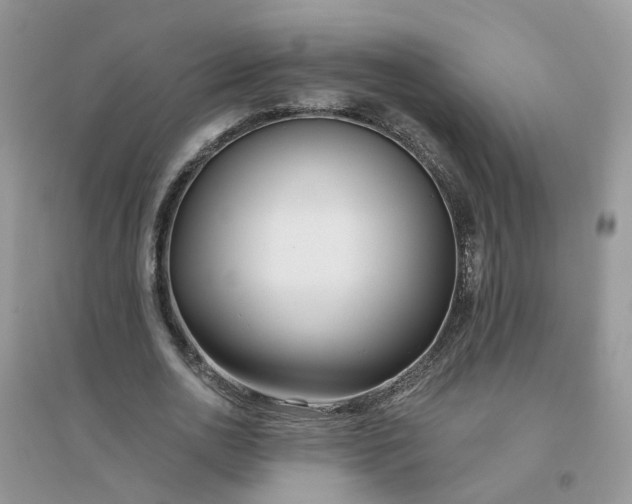 X0000096150726200802011232