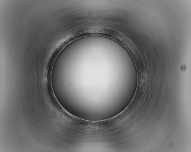 X0000096150727200802011232