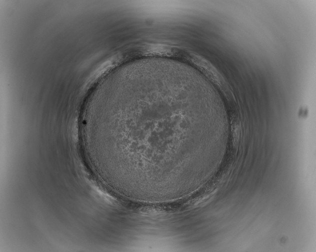 X0000096150729200802011232