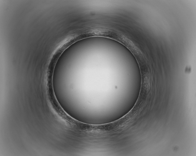 X0000096150730200802011232