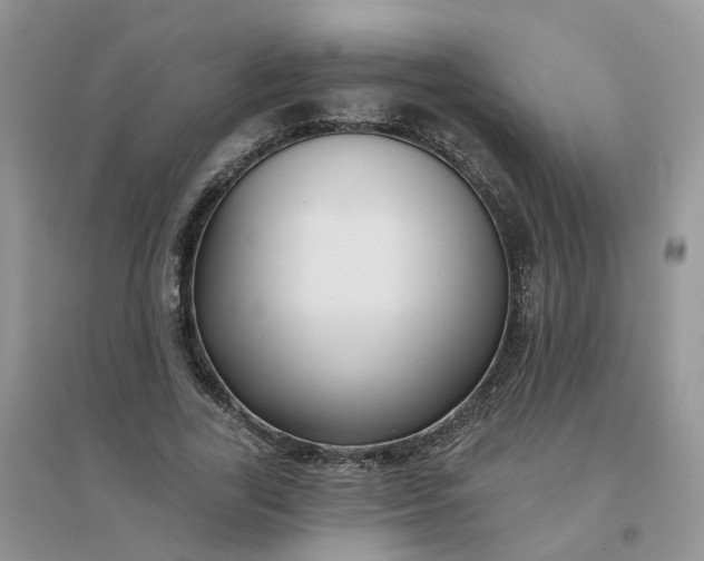 X0000096150731200802011232
