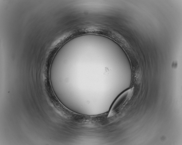 X0000096150732200802011232