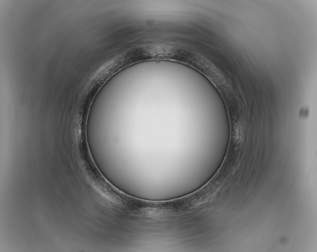 X0000096150733200802011232