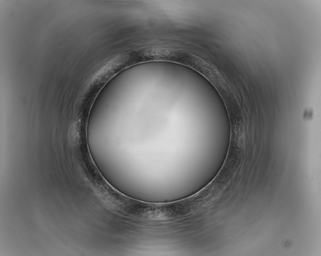 X0000096150735200802011232