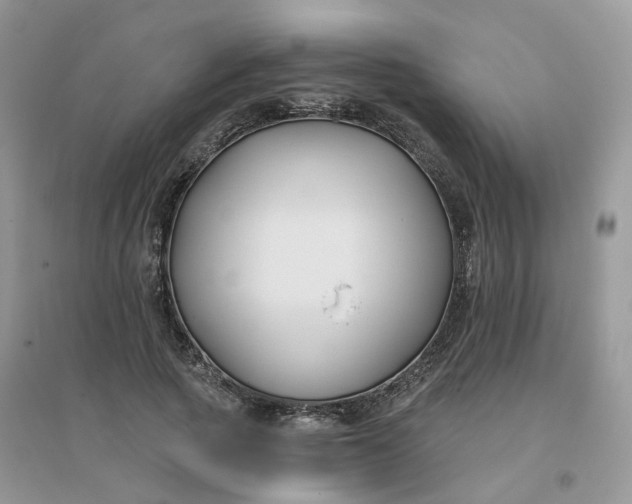 X0000096150737200802011232