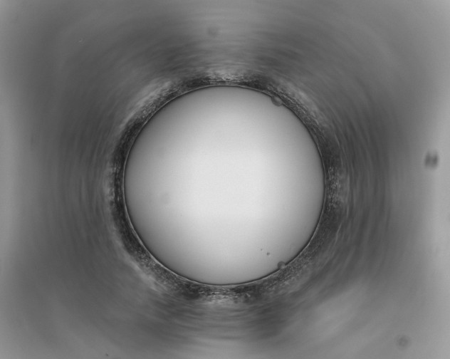 X0000096150738200802011232
