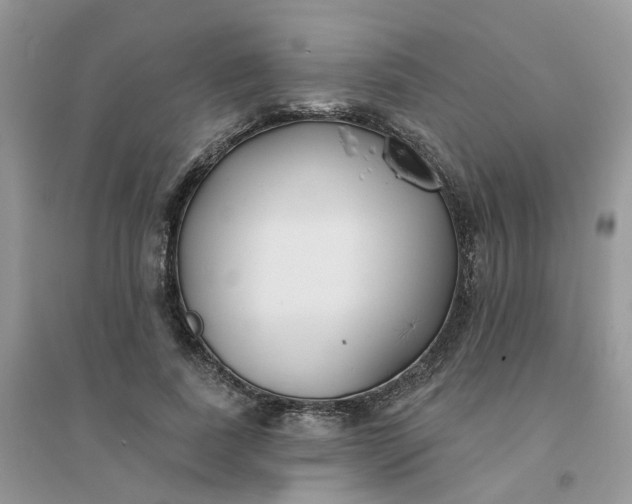 X0000096150739200802011232