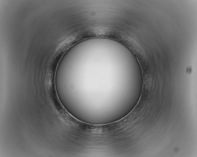 X0000096150740200802011232