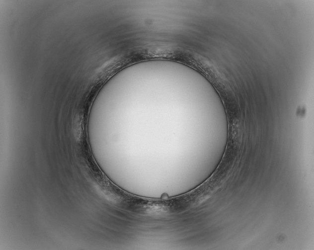 X0000096150741200802011232