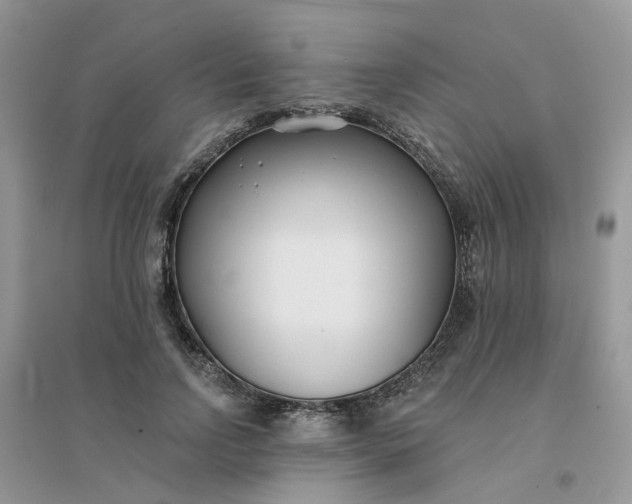 X0000096150742200802011232