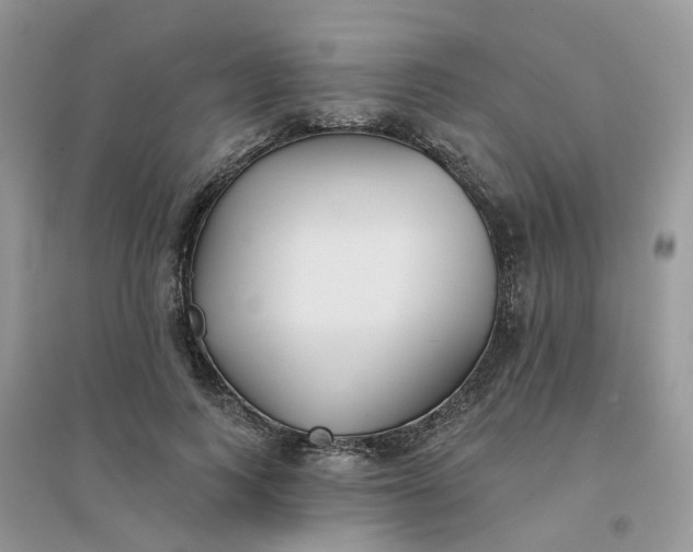 X0000096150743200802011232
