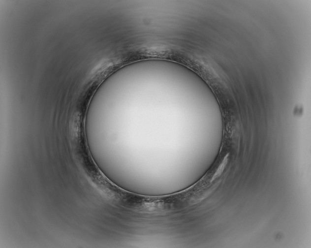 X0000096150744200802011232