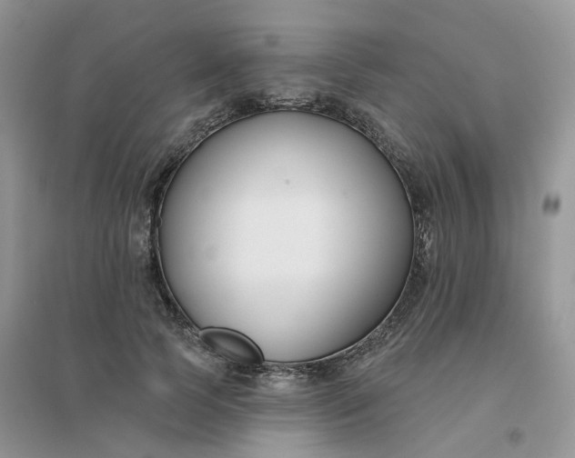 X0000096150745200802011232