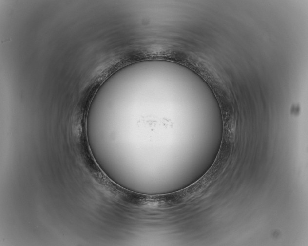 X0000096150746200802011232