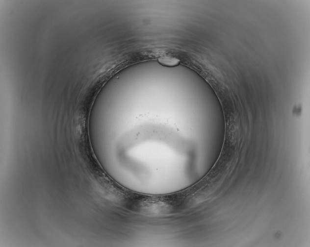 X0000096150747200802011232