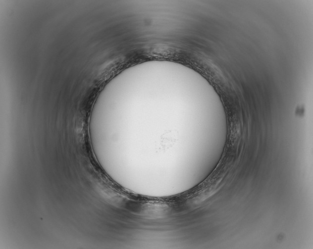 X0000096150749200802011232