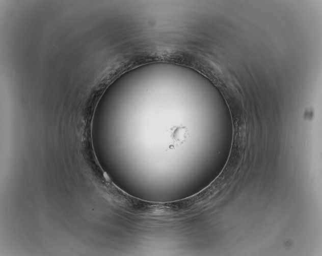 X0000096150750200802011232