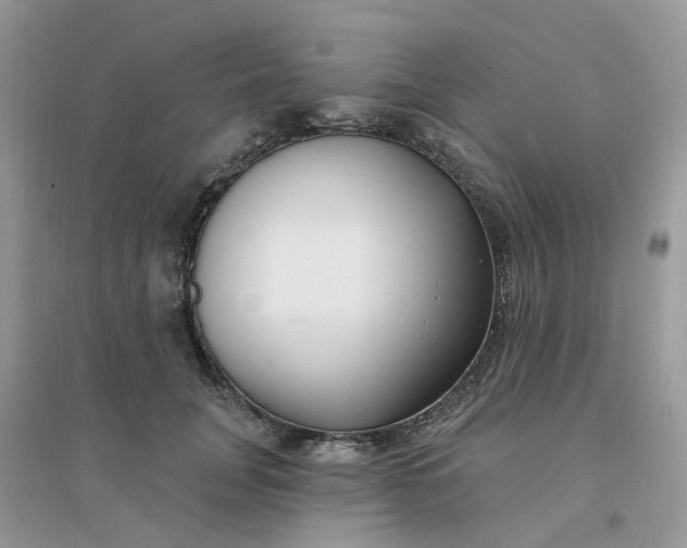 X0000096150751200802011232