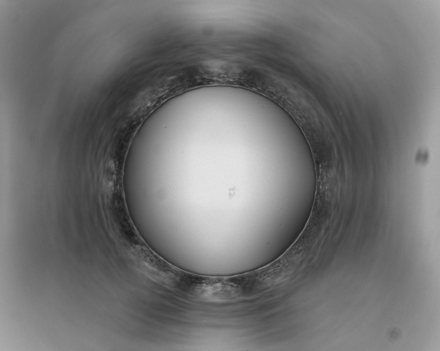 X0000096150752200802011232