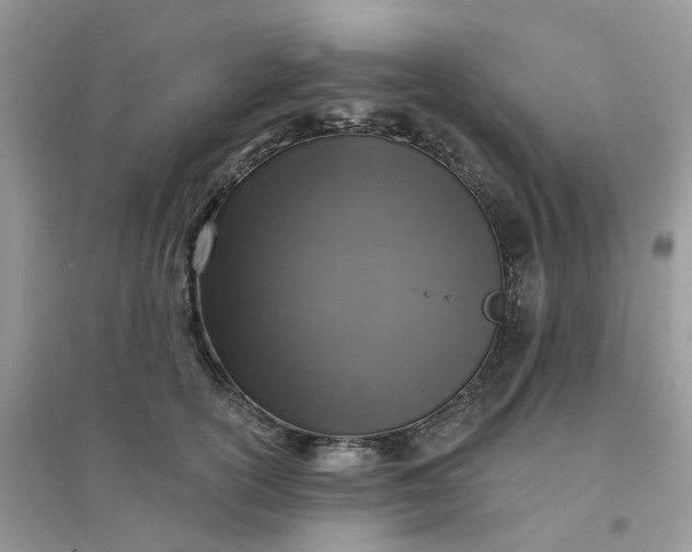 X0000096150754200802011232