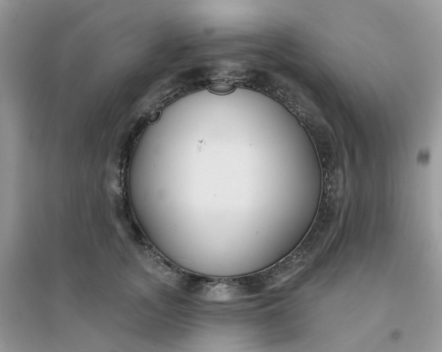 X0000096150755200802011232